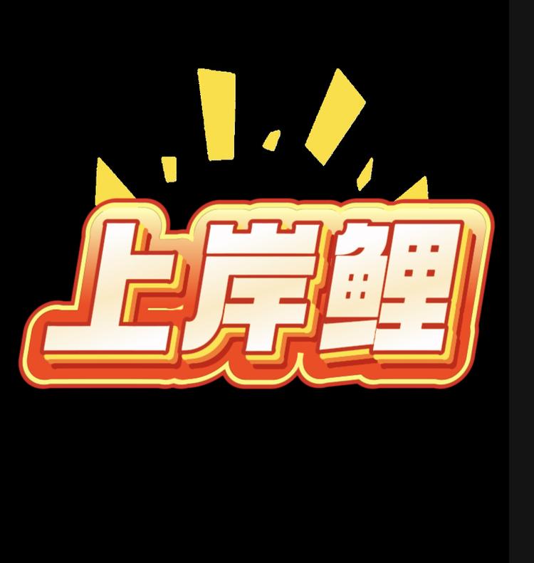上岸鲤渔具优选