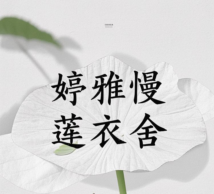 婷雅慢莲衣舍