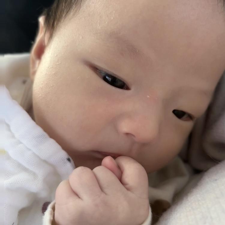 果果的日常小铺