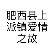 肥西县上派镇爱情之故事美发店的小店