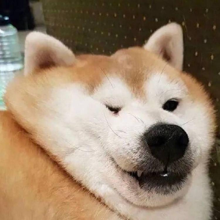 墨叁杂货铺