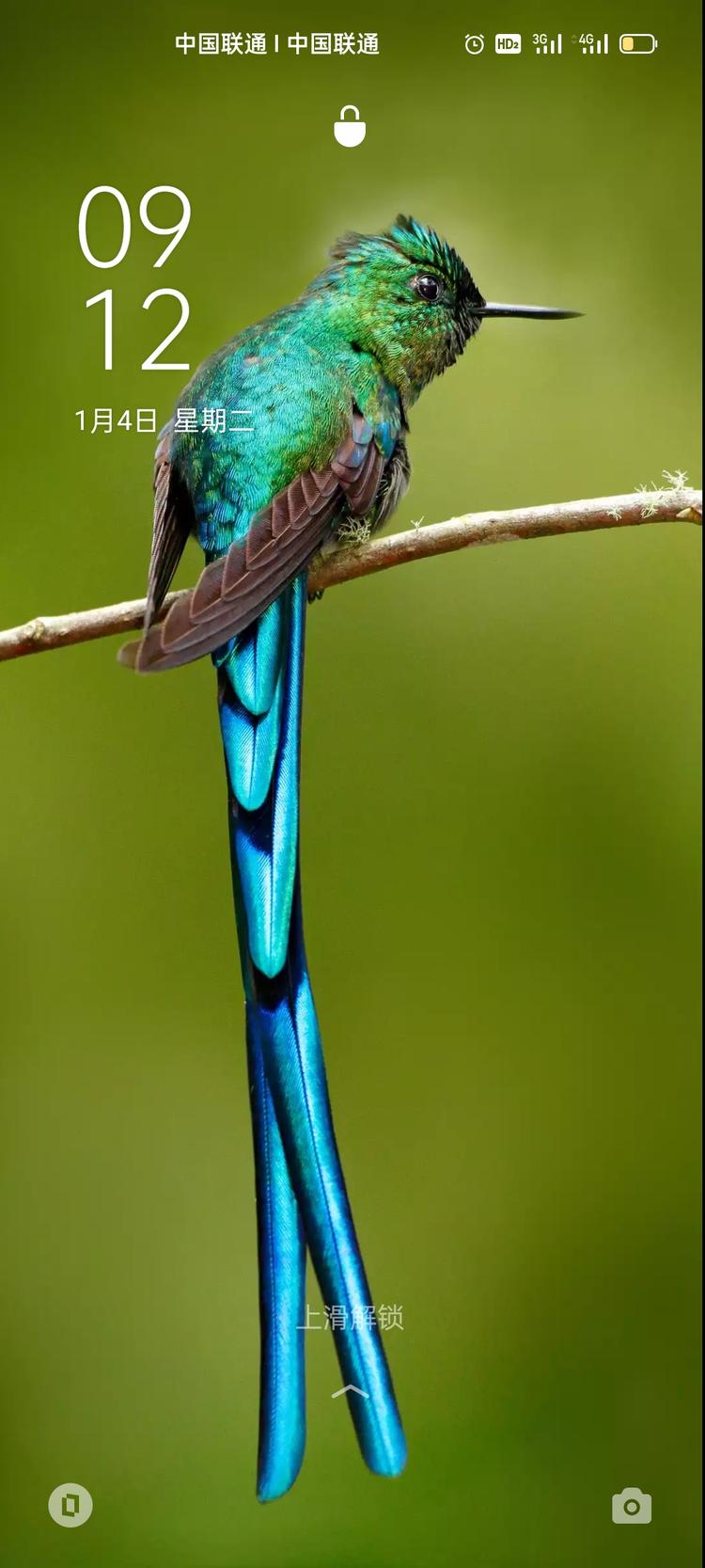 南和区明诚食品机械设备门市的小店个体店