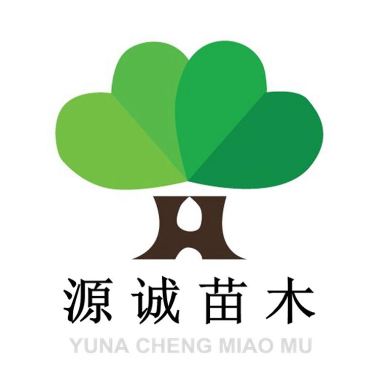 栖云听雪源诚果树苗木专卖店