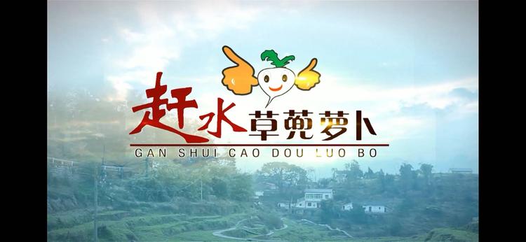 赶水草蔸箩卜