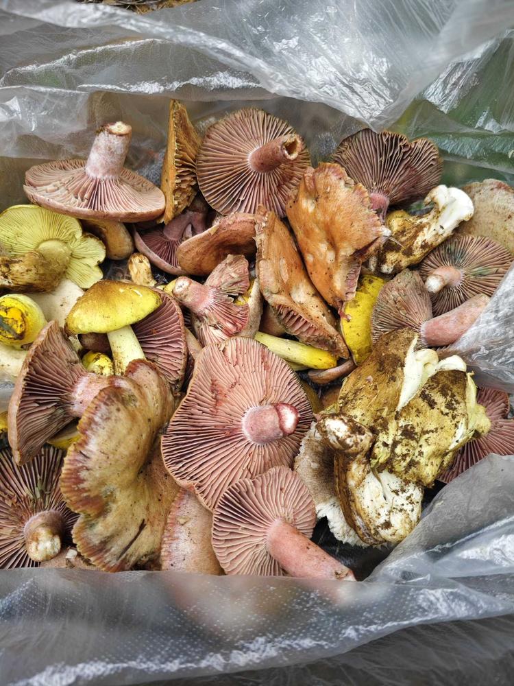 依橱蜜语优品小铺