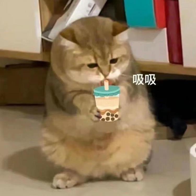 sufeifei