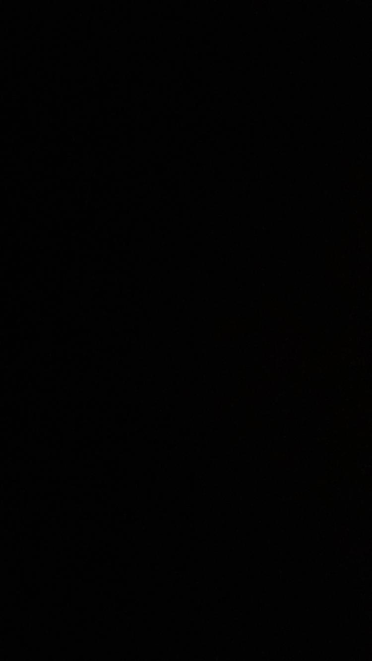 元气熊