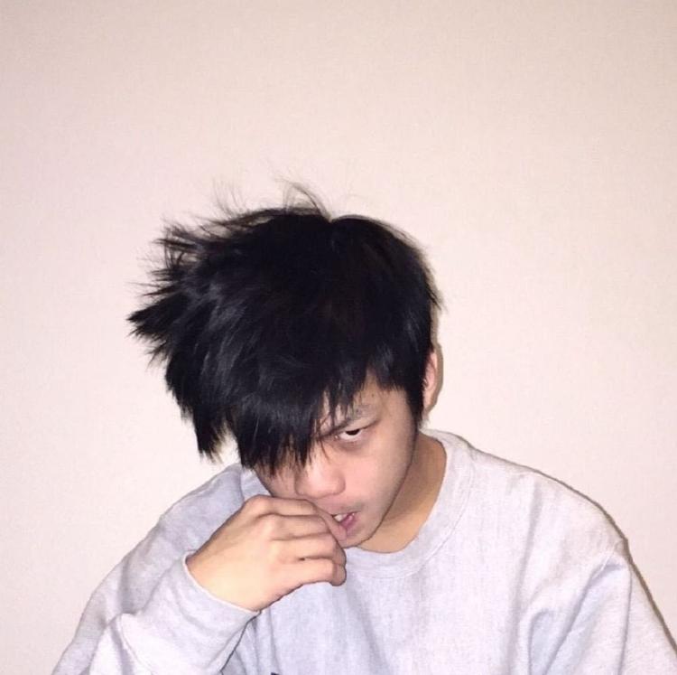 认准Hoyee