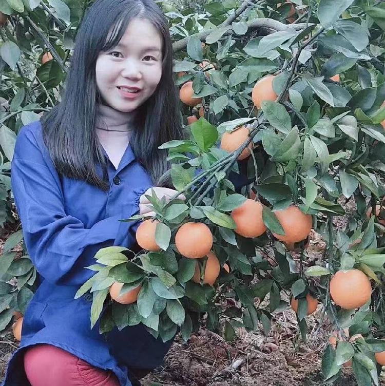 赣南青青鲜果时光