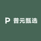 普元甄选
