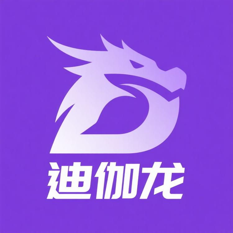 迪伽龙服饰
