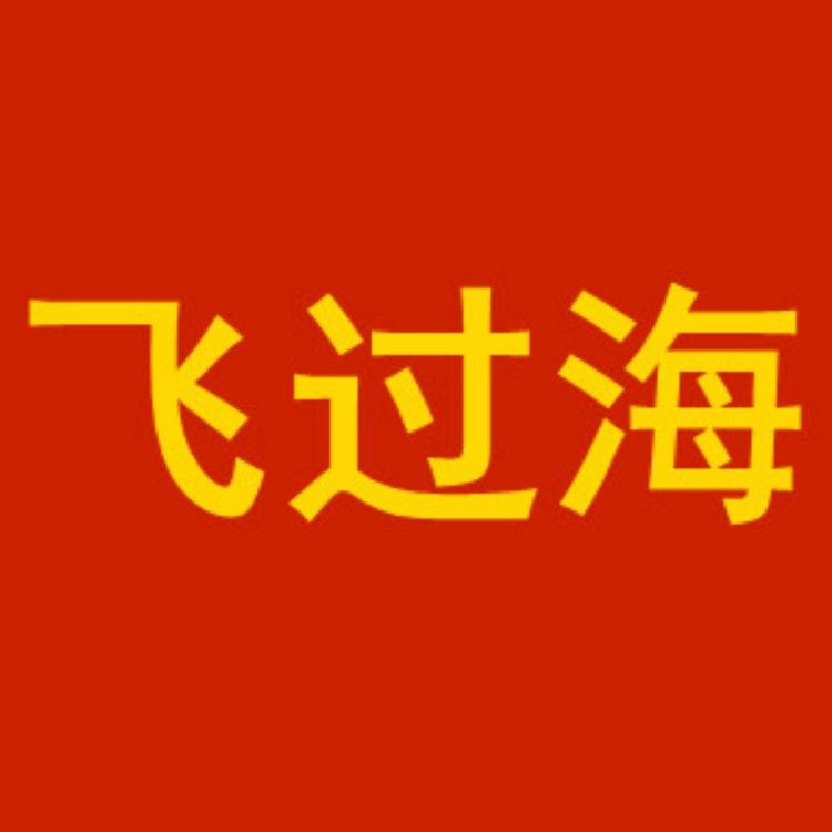 飞过海鞋业供应链