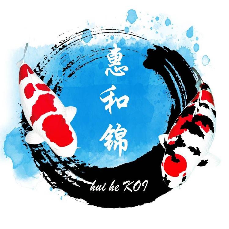 广东惠和锦鲤