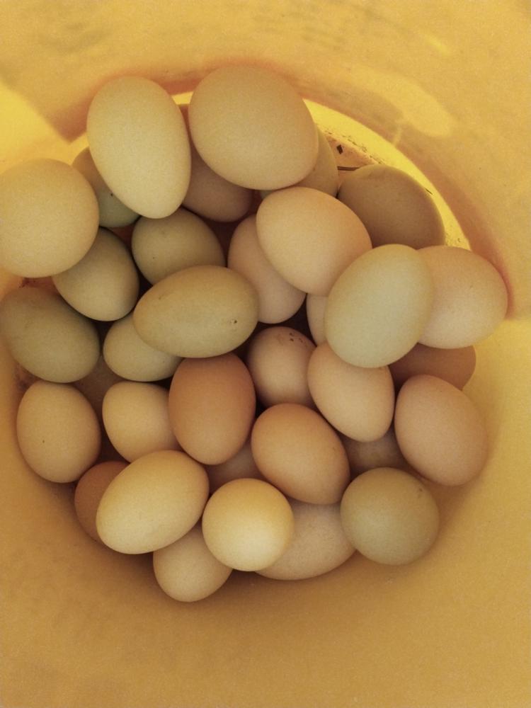 大石北沟农副产品