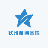 钦州苗圃基地