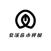 夏溪苗木榉树