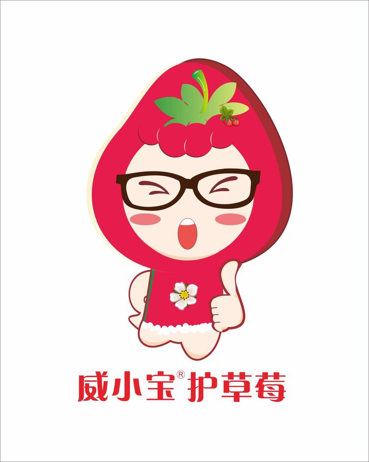 威小宝肥料企业店