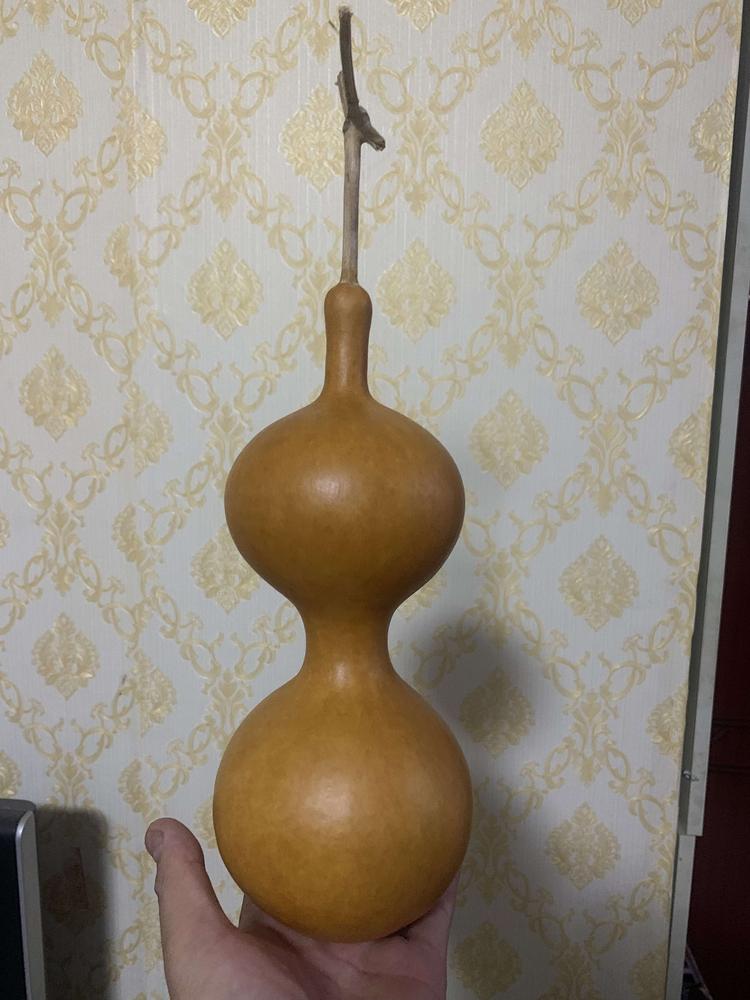 泰安市泰山区酷牛杂货铺的小店个体店