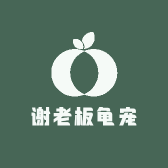 谢老板龟宠