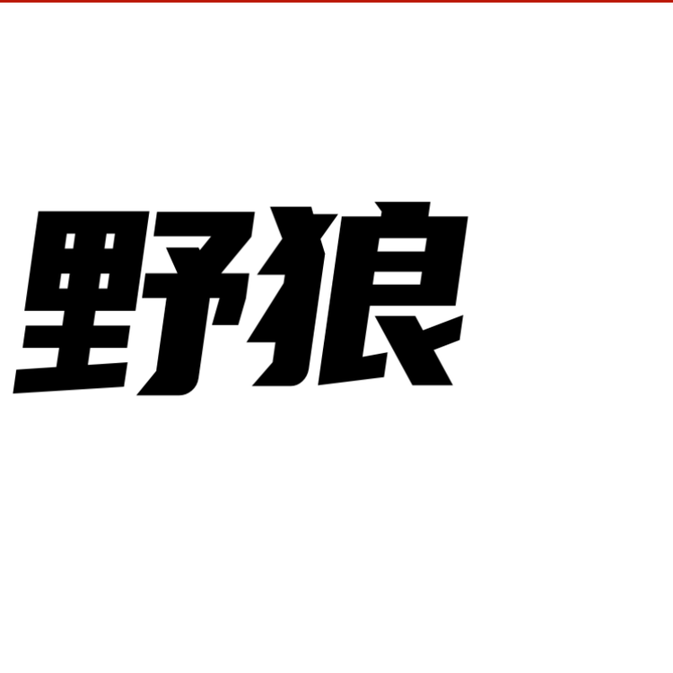 野狼台球杆