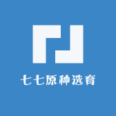 七七原种选育