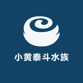 小黄泰斗水族