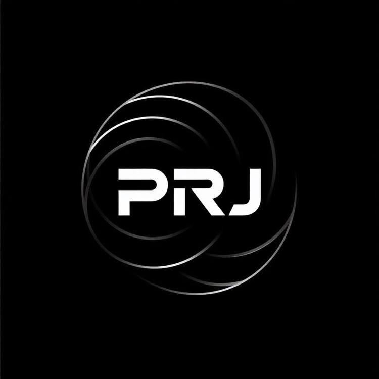PRJ璟园男鞋专卖店