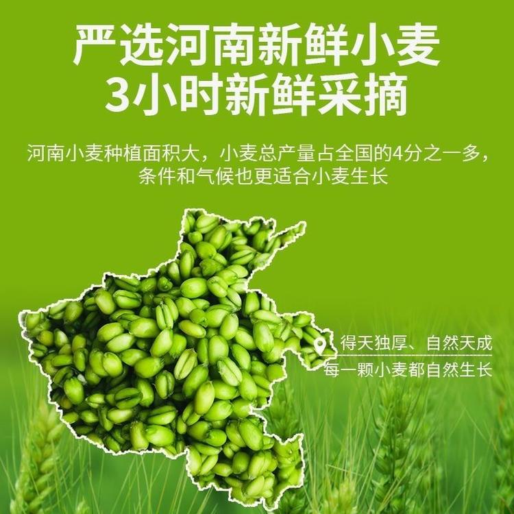 家乡那颗红枣树