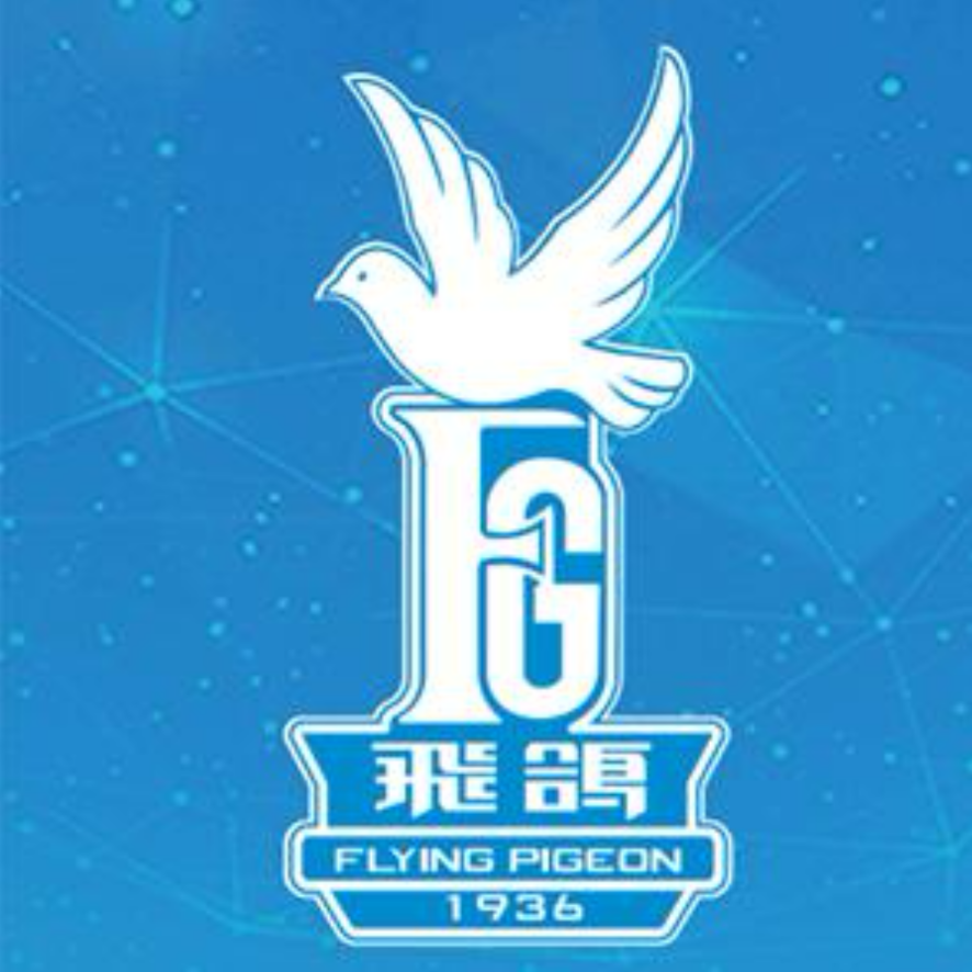 飞鸽FLYING PIGEON润宇电动车专卖店