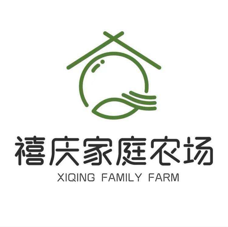 禧庆家庭农场葡萄园