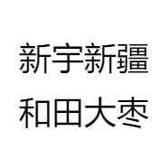 新宇新疆和田大枣