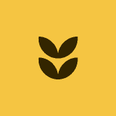 奔哥的梦幻小店铺