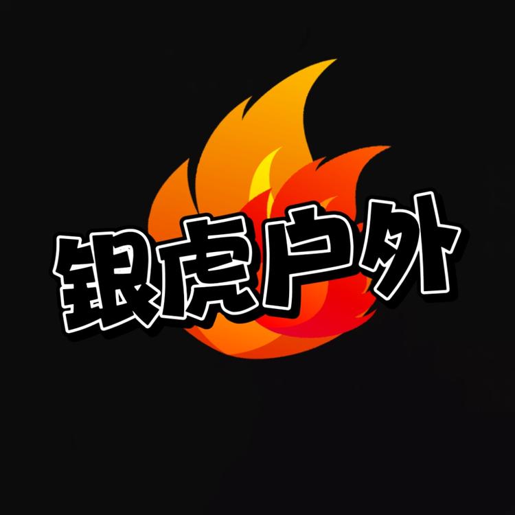 银虎户外玩具总店