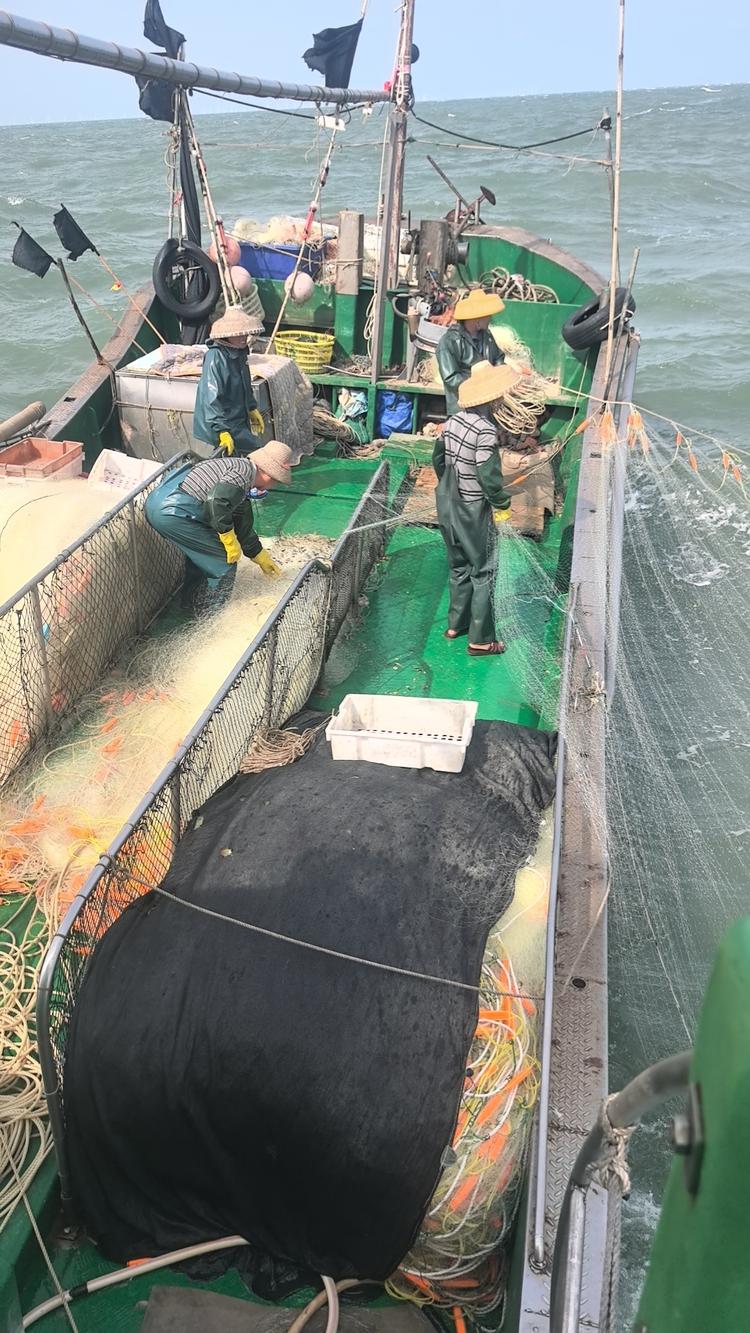 徐闻美海家渔业捕捞部