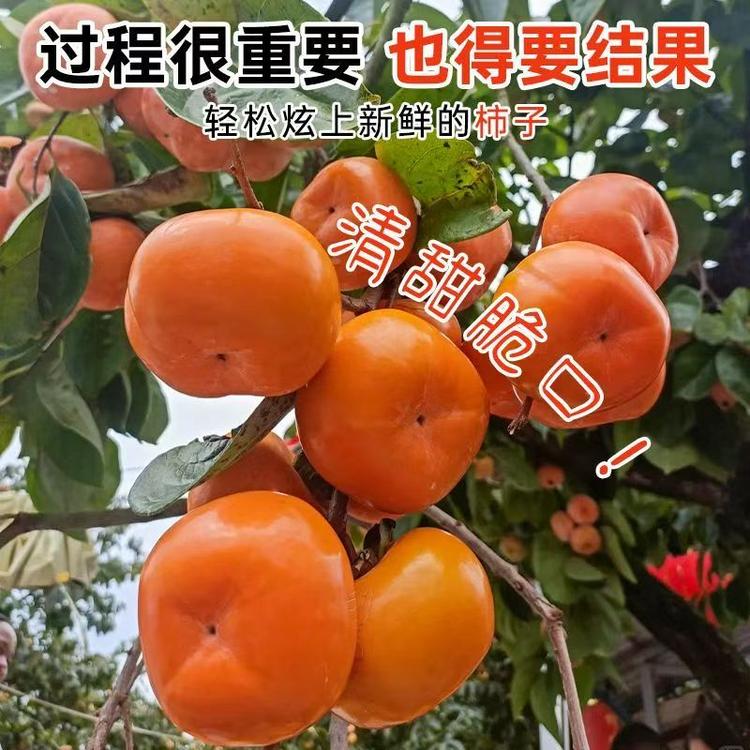 ticify慧程专卖店