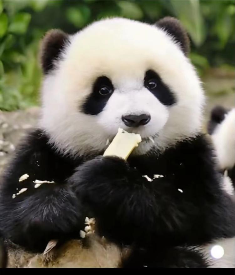 传说冬雪的小店