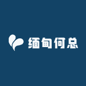 缅甸何总