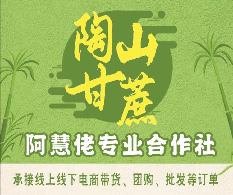 瑞安慧茹电子商务有限公司