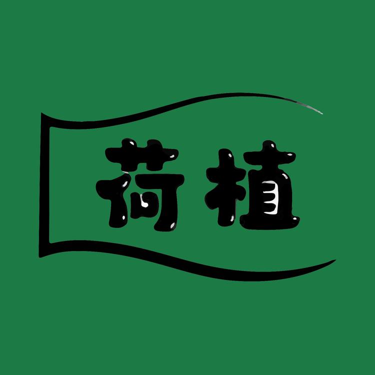 荷植设计师童装