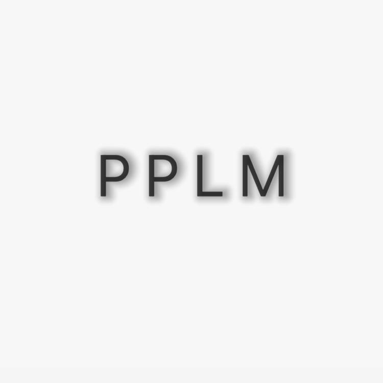 PPLM美甲