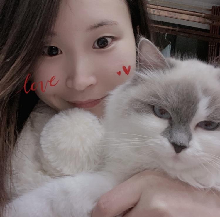 favor宠物私橱