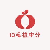 13毛梳中分
