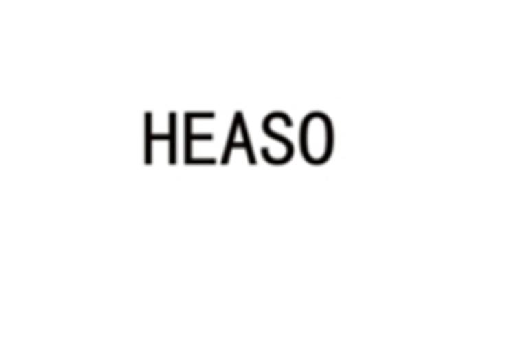 HEASO海外旗舰店