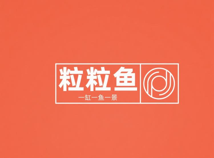 粒粒鱼水族