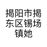 揭阳市揭东区锡场镇她迅服装店的小店个体店