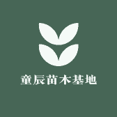 童辰苗木基地