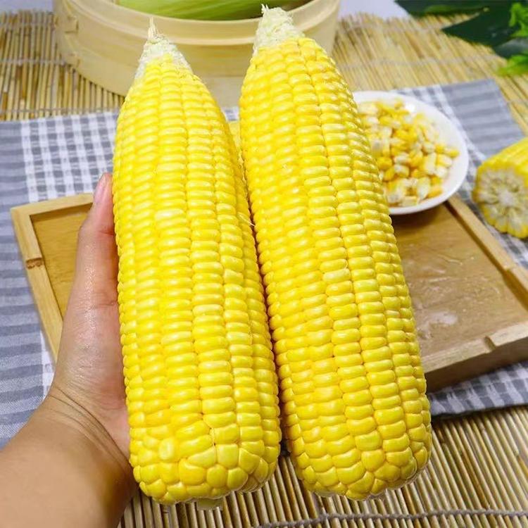 一个不务正业的农民