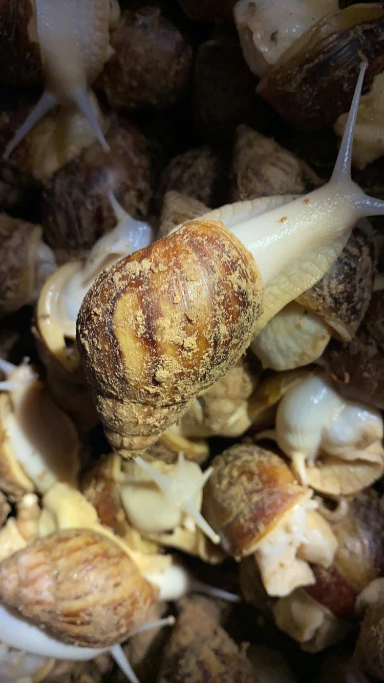 冠县辰宇特种养殖场的小店个体店