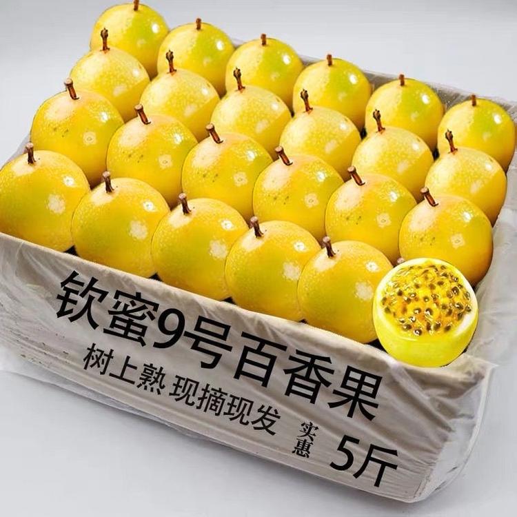 何晓良水果创意屋