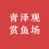 青泽观赏鱼场